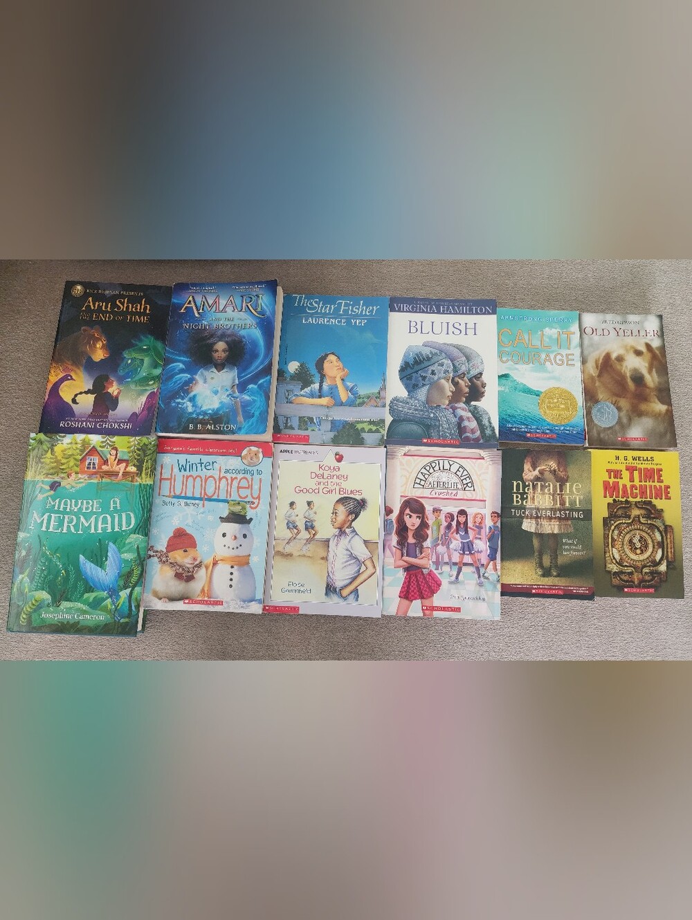 Lot Of 12 Advanced Reading Tween Teen Youth Books Excellent Condition